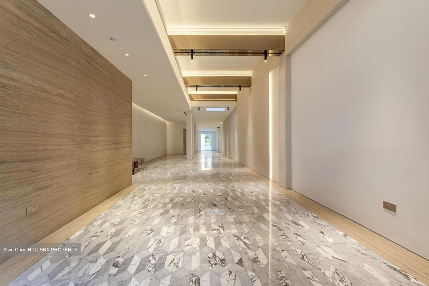 Sago Lane (D1), Shop House #501145511